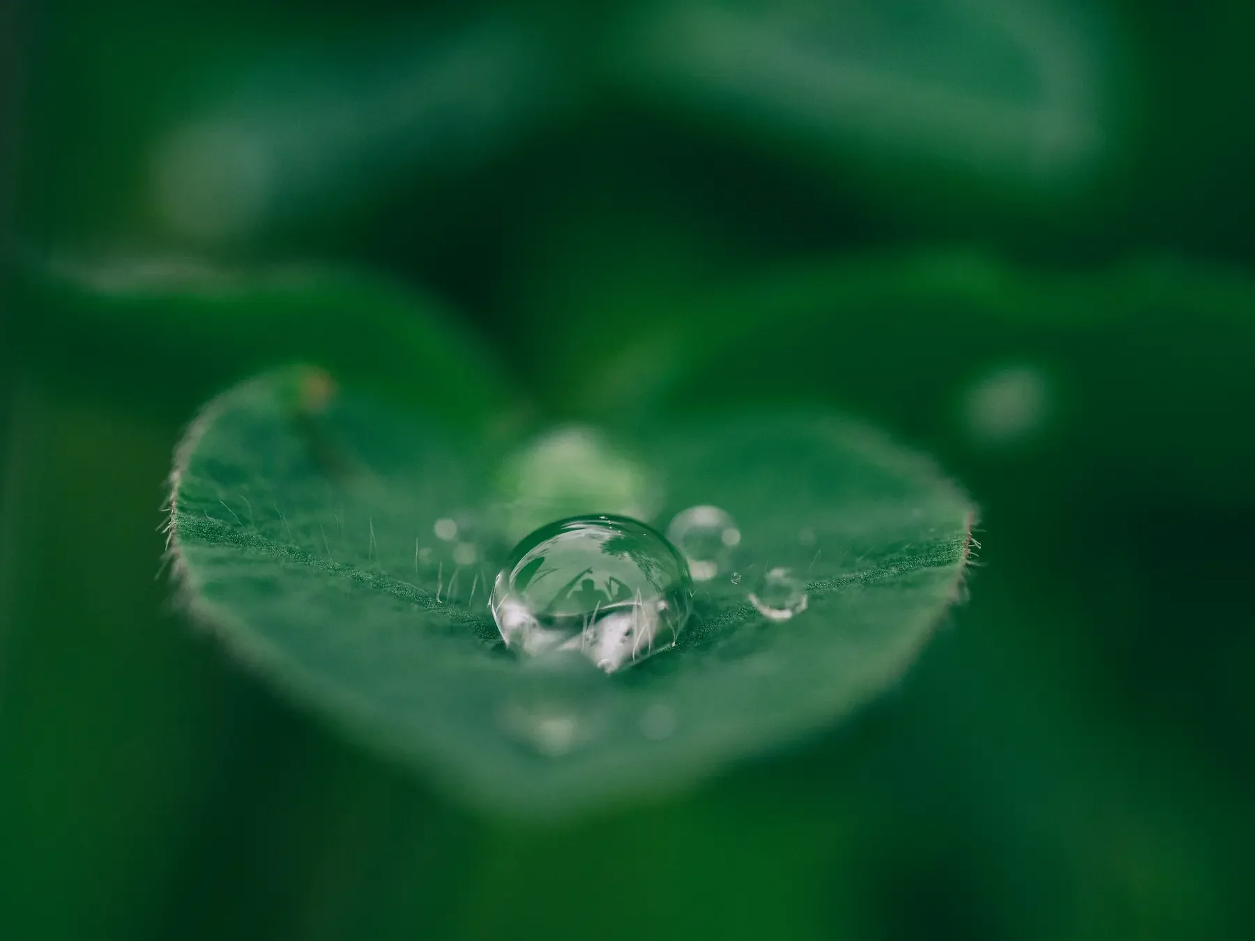 unsplash/aaron-burden